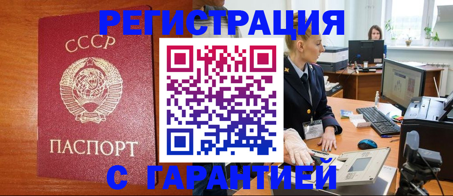 прописка 2025 в Звенигово